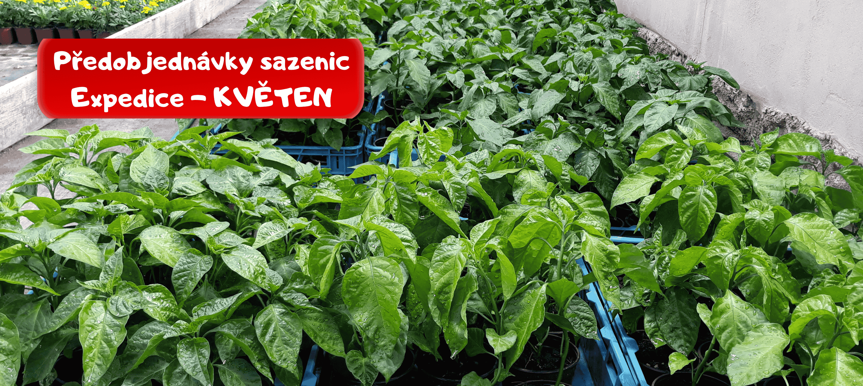 Carousel na homepage (3)